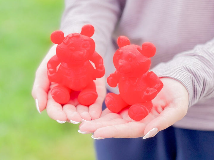 Friendly Fidget Teddy Bear Set of Two, Boy and Girl
