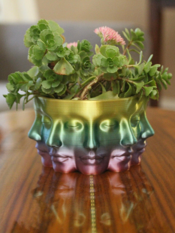 The VASE FACE | Face Planter for Succulents, Cactus, Plants