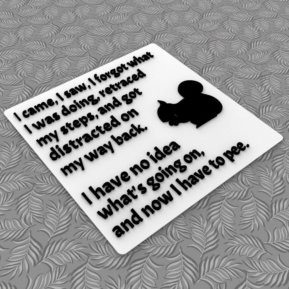 Funny Sign | I came, I saw, I forgot what I was Doing, I have Idea What's