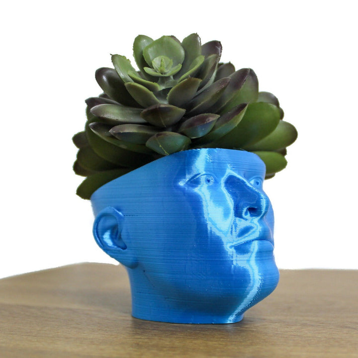The "POT HEAD" Succulent Planter Vase | Plant your own Hairstyle
