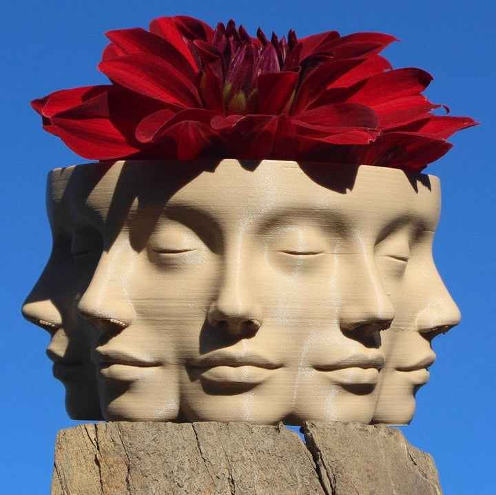 The VASE FACE | Face Planter for Succulents, Cactus, Plants