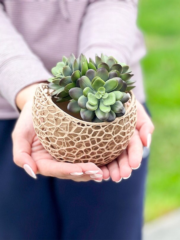 Voronoi Artistic Succulent Planter Vase