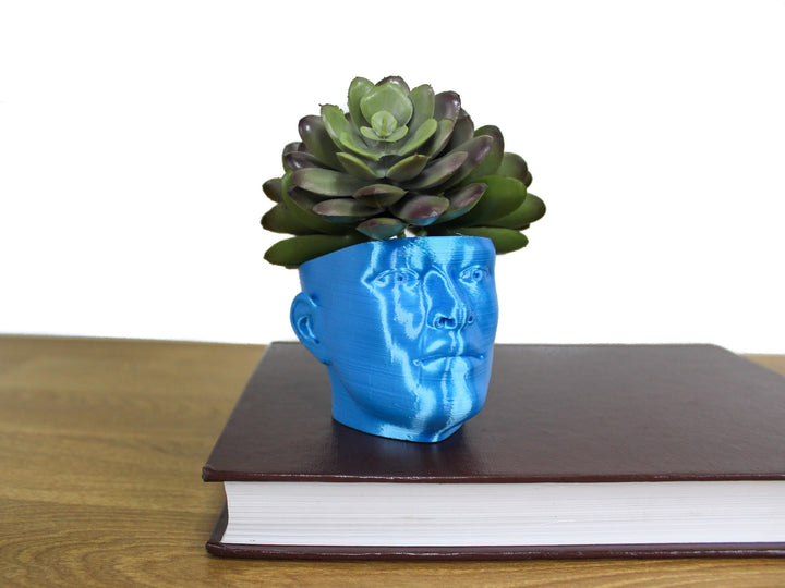 The "POT HEAD" Succulent Planter Vase | Plant your own Hairstyle