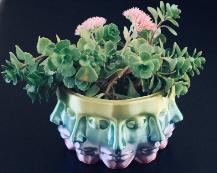 The VASE FACE | Face Planter for Succulents, Cactus, Plants