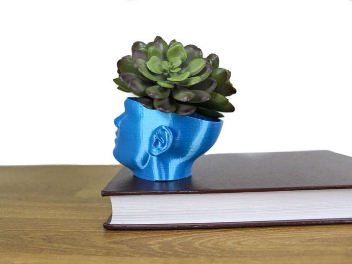 The "POT HEAD" Succulent Planter Vase | Plant your own Hairstyle