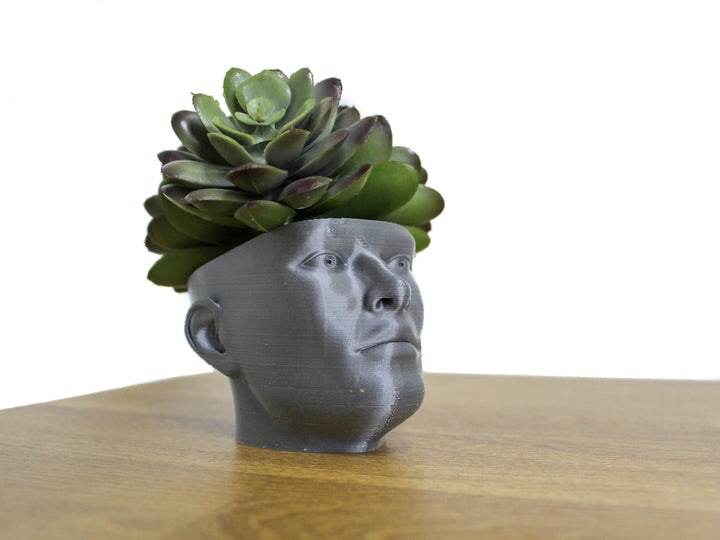 The "POT HEAD" Succulent Planter Vase | Plant your own Hairstyle