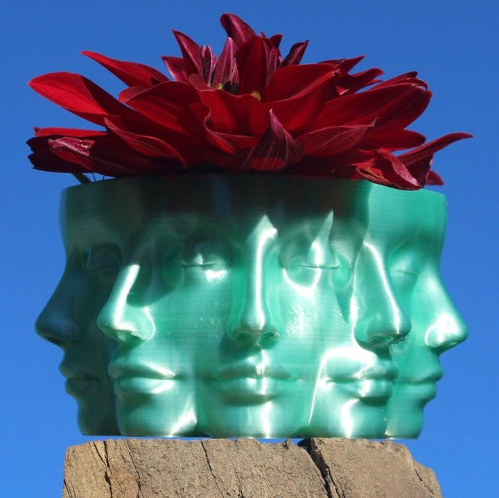The VASE FACE | Face Planter for Succulents, Cactus, Plants