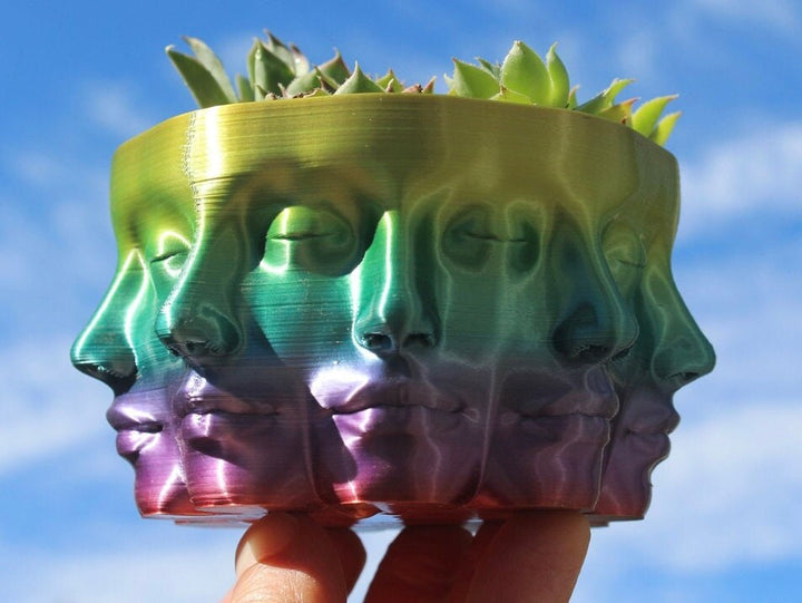 The VASE FACE | Face Planter for Succulents, Cactus, Plants