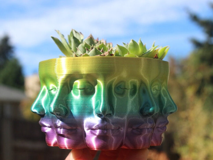 The VASE FACE | Face Planter for Succulents, Cactus, Plants