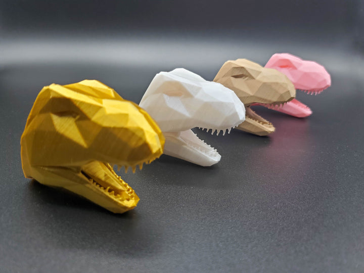 Tyrannosaurus Rex Dinosaur Wall Hangers for Jackets, Headphones, Towels, Prey…