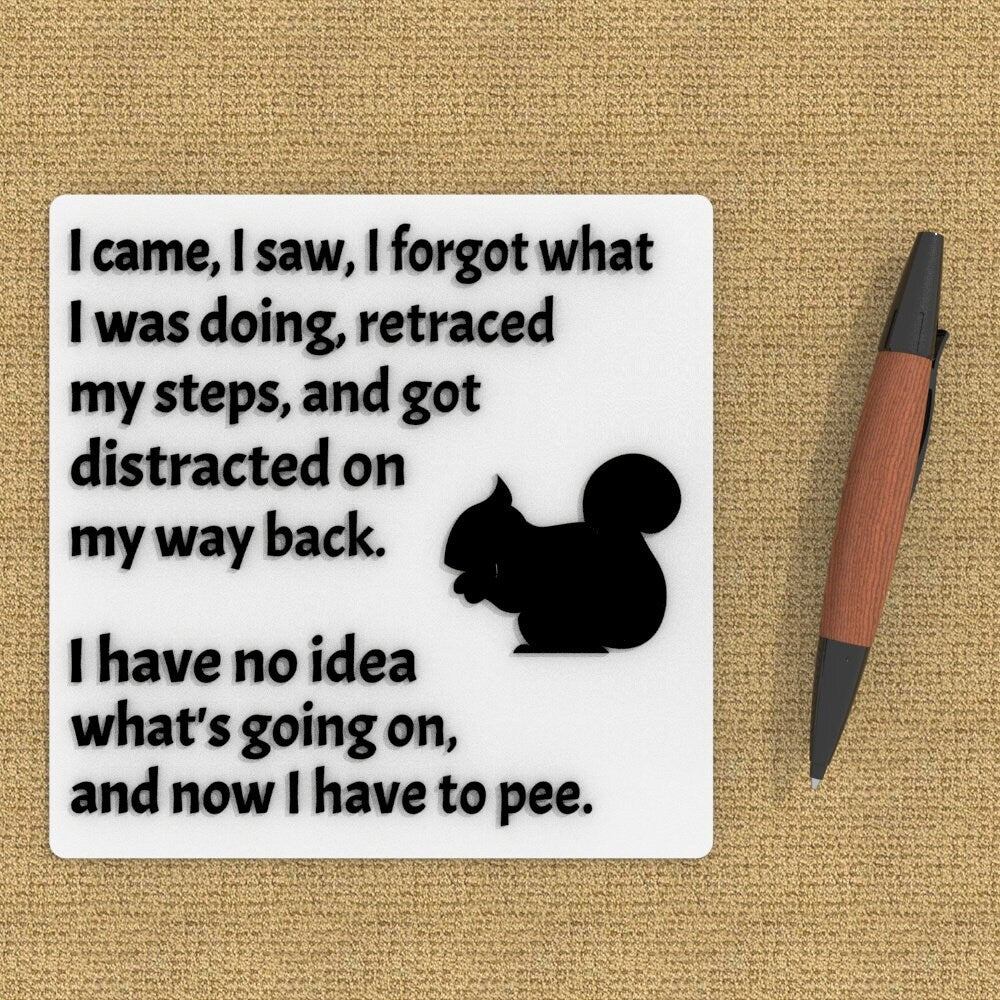 Funny Sign | I came, I saw, I forgot what I was Doing, I have Idea What's