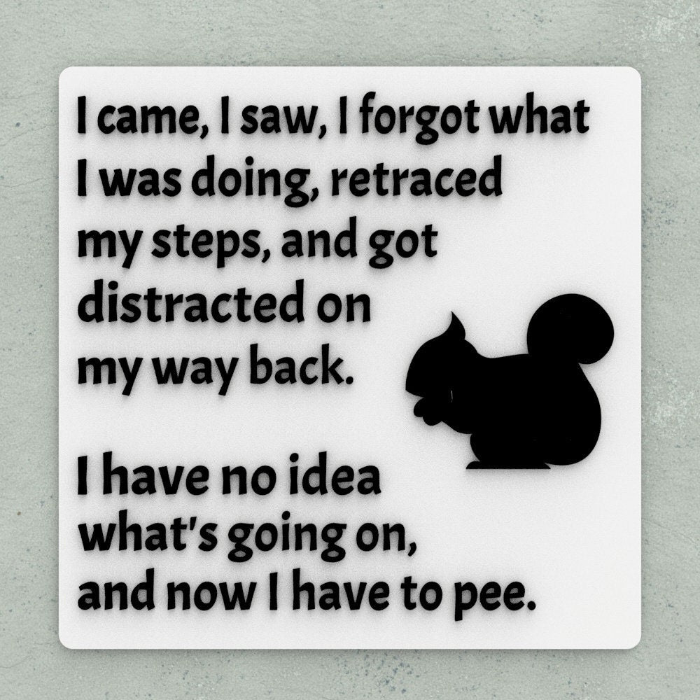 Funny Sign | I came, I saw, I forgot what I was Doing, I have Idea What's