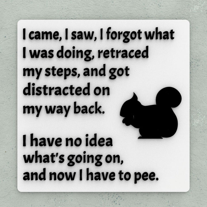 Funny Sign | I came, I saw, I forgot what I was Doing, I have Idea What's