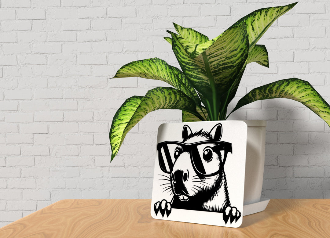 Glasses Mouse | Funny sign For Home or Office