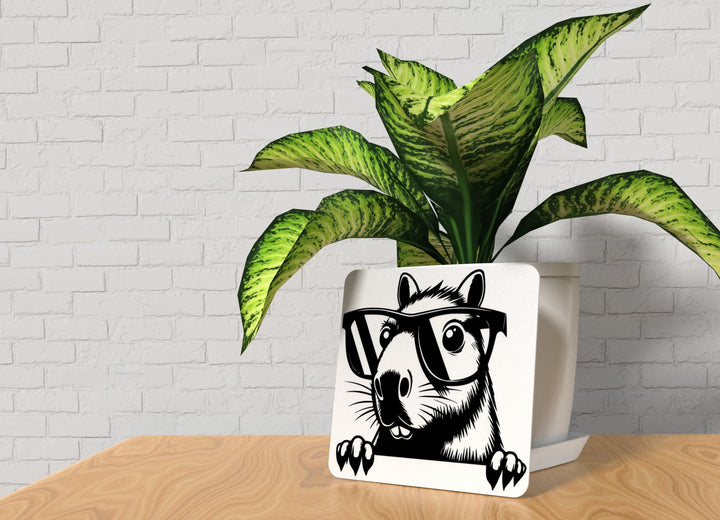 Glasses Mouse | Funny sign For Home or Office
