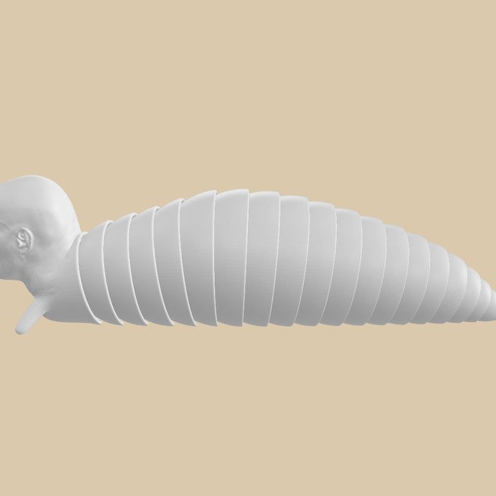 The Rock Fidget Slug