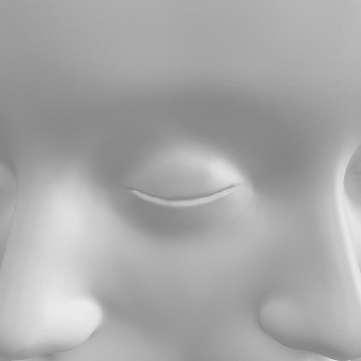 The VASE FACE | Face Planter for Succulents, Cactus, Plants