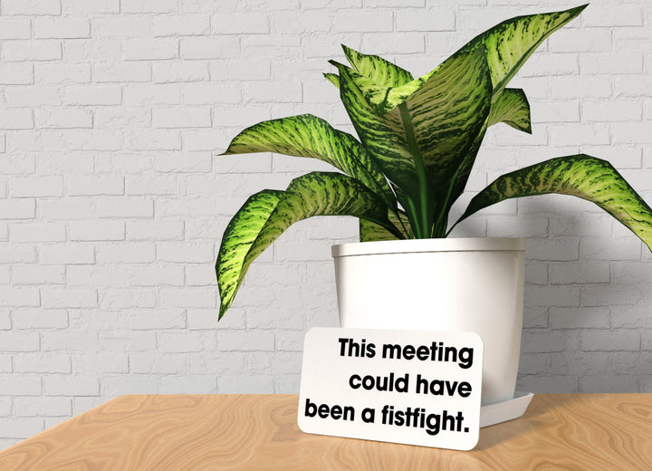 This Meeting Could Have Been A fistfight | Funny Sign for Home or Office