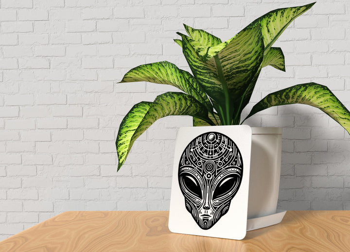 Spacce Man | Funny sign For Home or Office
