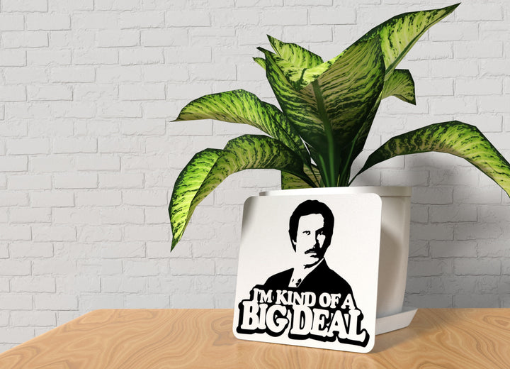 I'm Kind Of A Big Deal | Funny sign For Home or Office