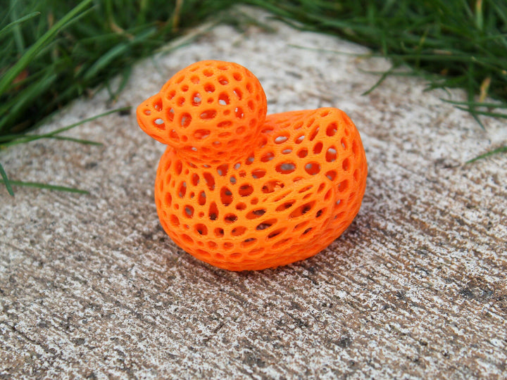 Holy Rubber Duck Voronoi Style