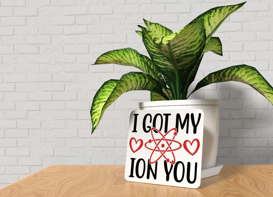 I Got My I On You | Funny sign For Home or Office