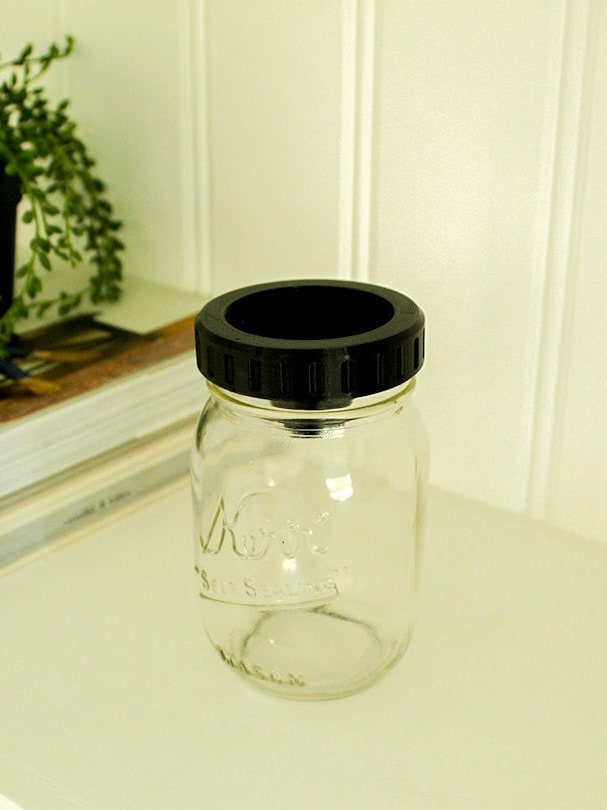 Fruit Fly Trap Lid for any Standard Mason Jar