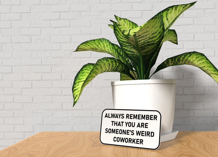 Always Remember That You Are Someone's Weird Coworker | Funny Sign Home & Office