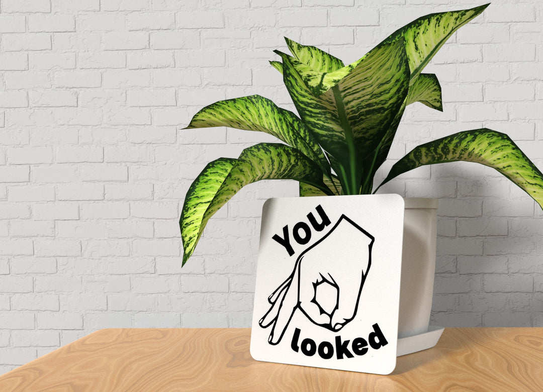 You Looked | Funny sign For Home or Office