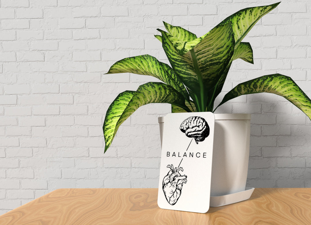 Balance | Funny Sign for Home or Office