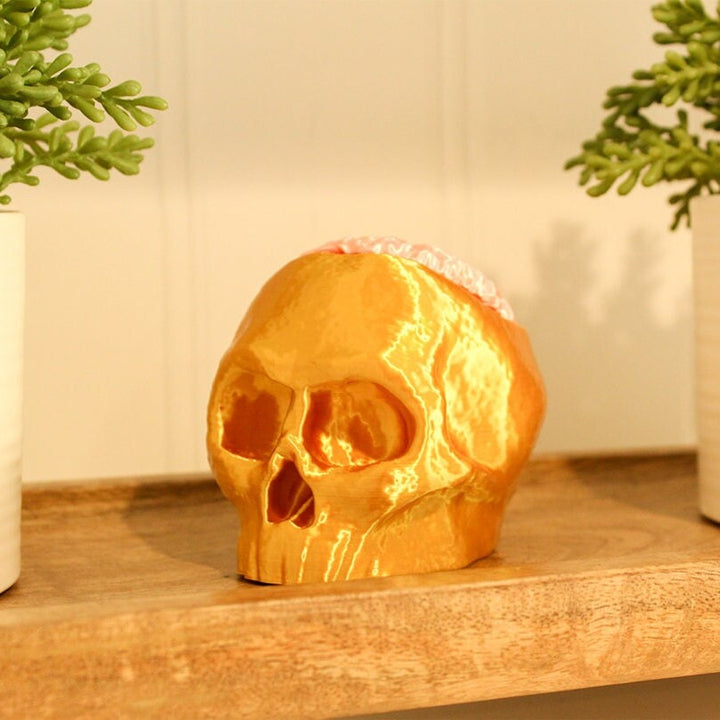 Skull with Removable Brain Lid Statue for Hiding Keys/candies