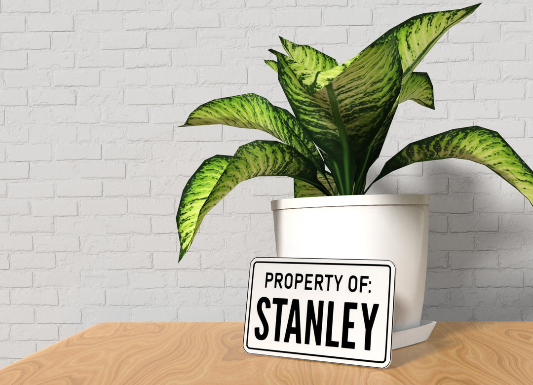 Bold 3D Wall Art – Property Of Stanley Sign,Funny Pop Culture Home or Office Decor