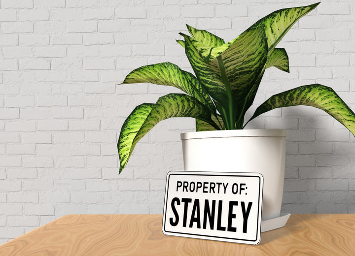 Bold 3D Wall Art – Property Of Stanley Sign,Funny Pop Culture Home or Office Decor