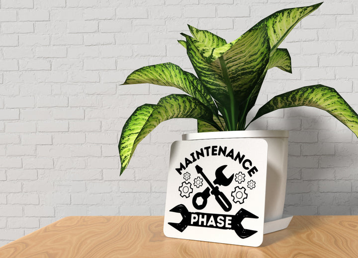 Maintenance Phase | Funny Sign for Home or Office