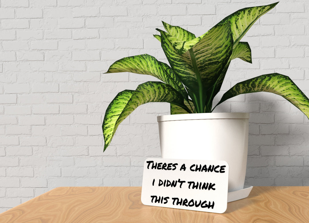 Theres A Chance I Didn't Think This Through | Funny Sign for Home or Office