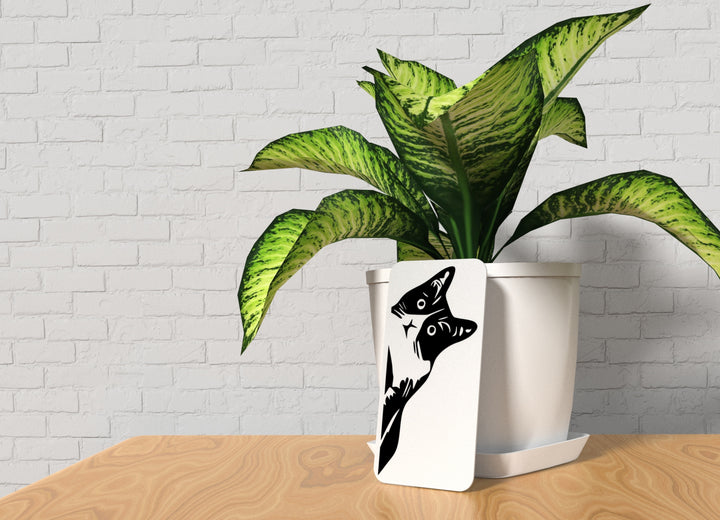 Black Cat | Funny sign For Home or Office