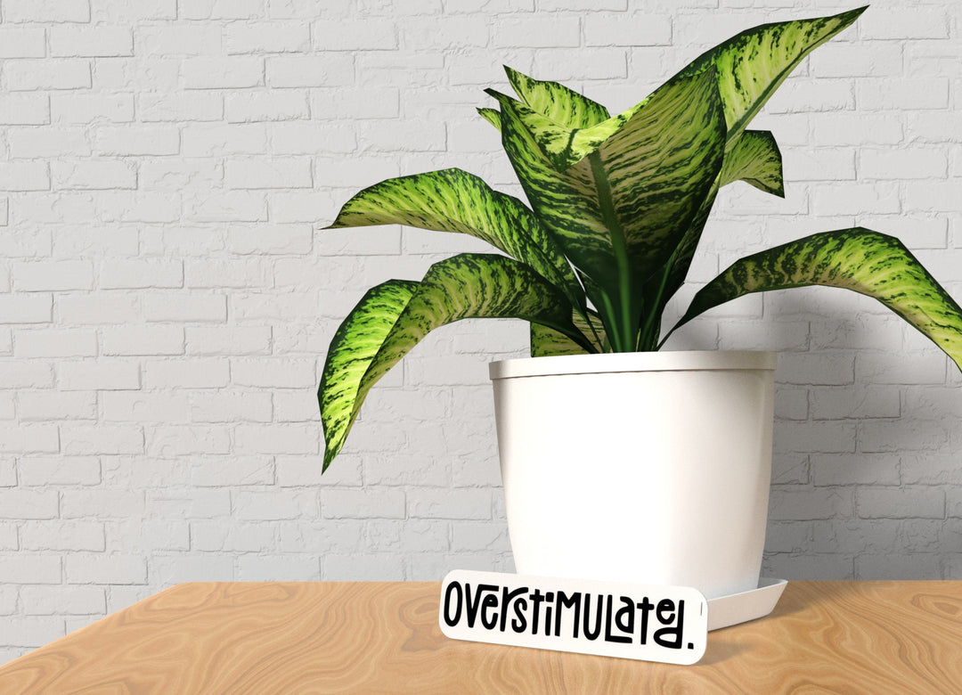 Overstimulated | Funny Sign for Home or Office