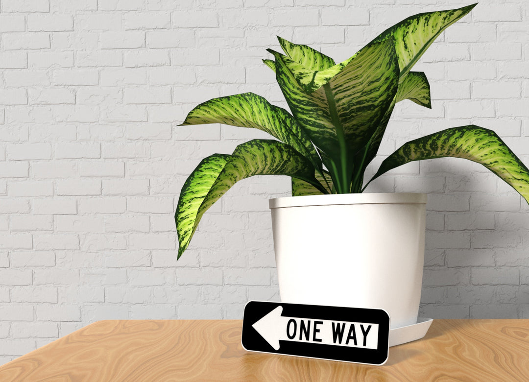 One Way | Funny Sign for Home or Office