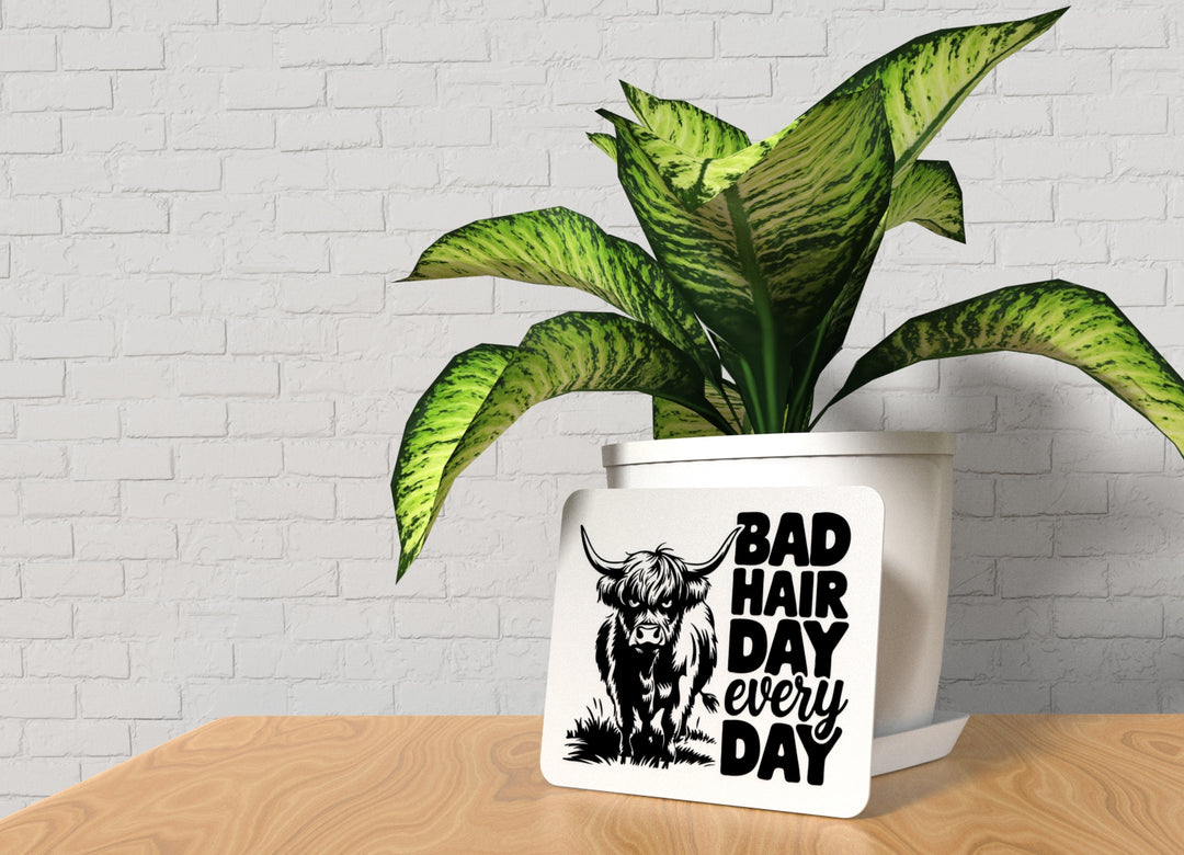Bad Hair Day Every Day | Funny sign For Home or Office