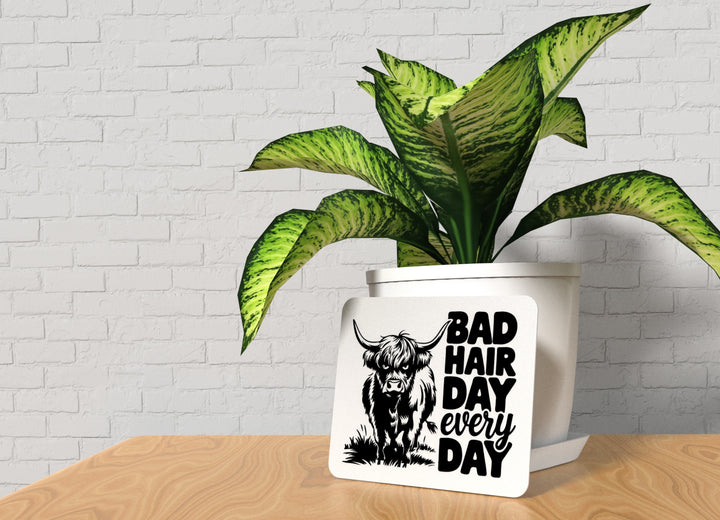Bad Hair Day Every Day | Funny sign For Home or Office