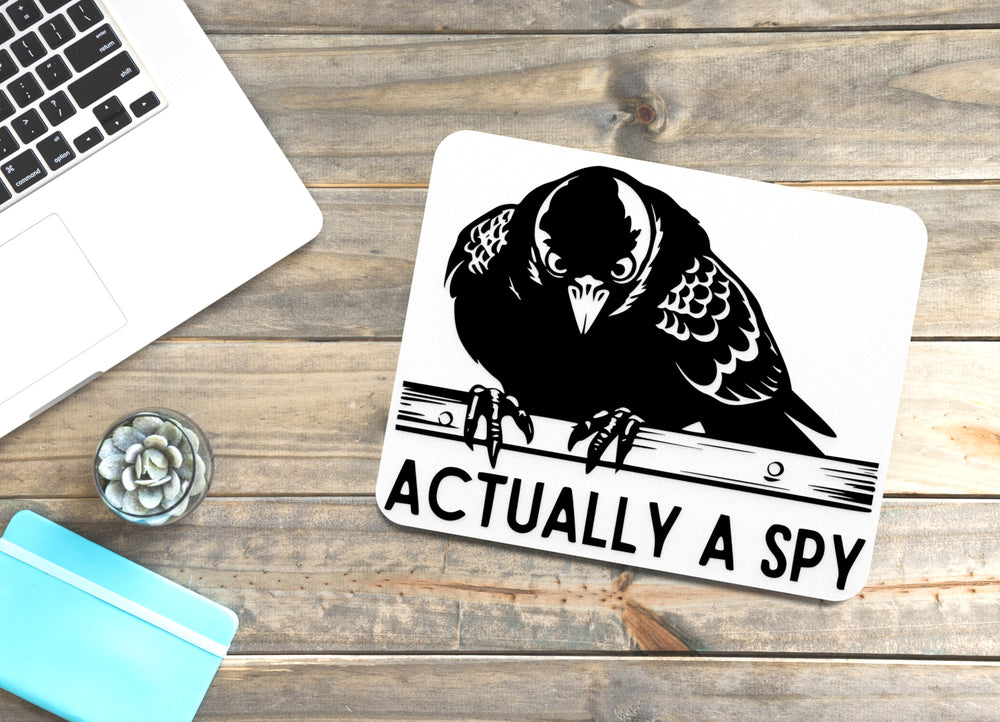 
  
  Actually A Spy | Funny sign For Home or Office
  
