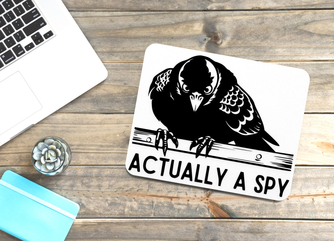 Actually A Spy | Funny sign For Home or Office