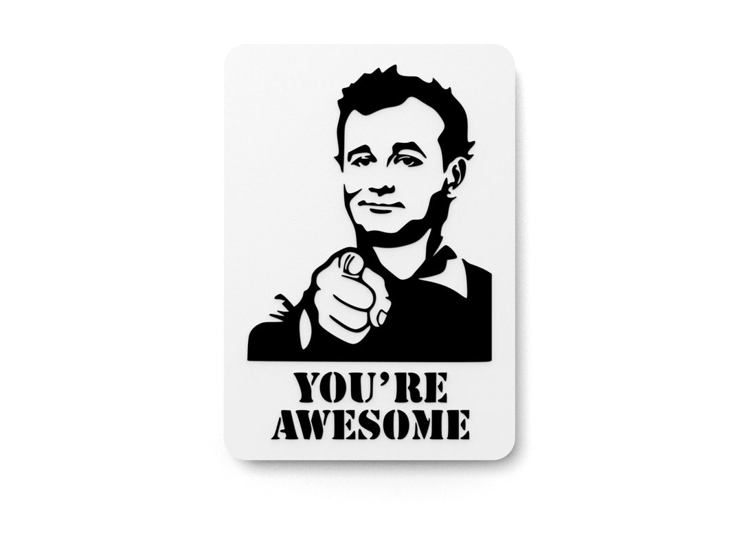 
  
  You Are Awesome | Funny sign For Home or Office
  

