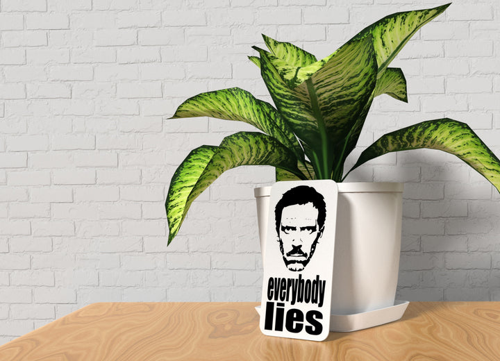 Everybody Lies | Funny sign For Home or Office