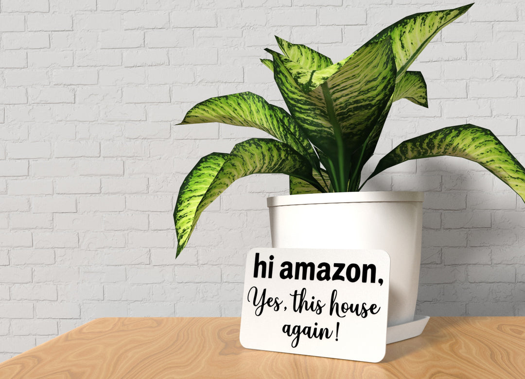 Hi Amazon Yes This House Again | Funny Sign for Home or Office