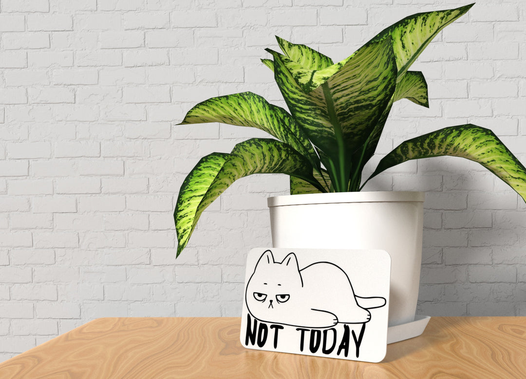 Not Today | Funny sign For Home or Office