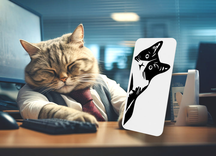 Black Cat | Funny sign For Home or Office