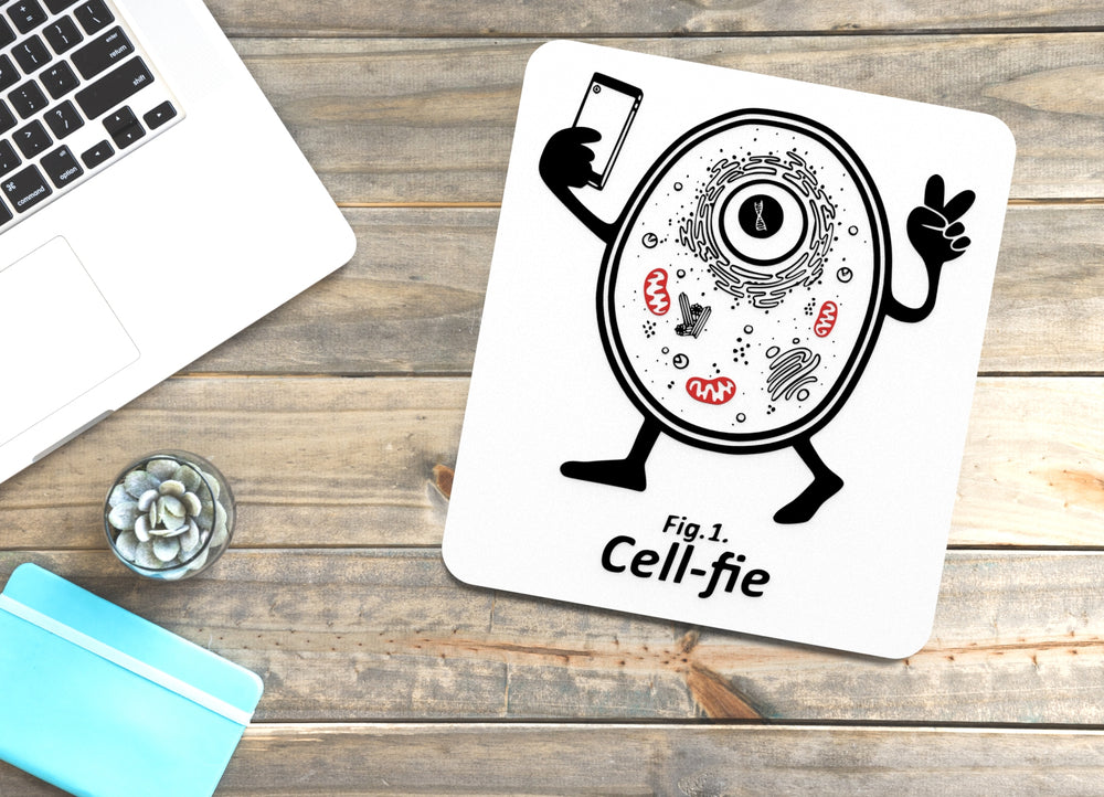 
  
  Cell Fie | Funny Sign for Home or Office
  
