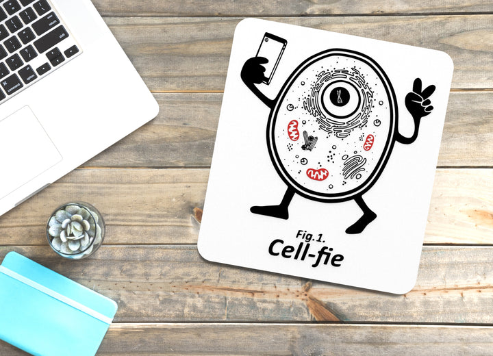 Cell Fie | Funny Sign for Home or Office
