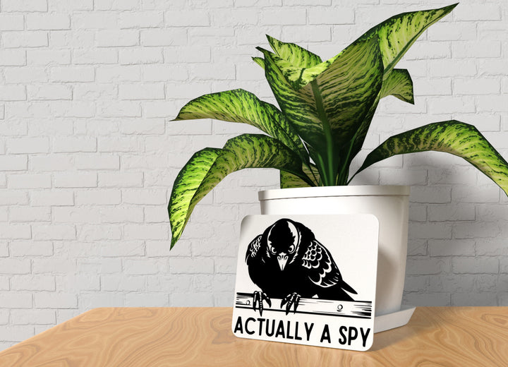 Actually A Spy | Funny sign For Home or Office
